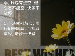 淡季时如何提高汽车美容店生意