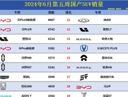 电动汽车排行榜前十名2024新能源