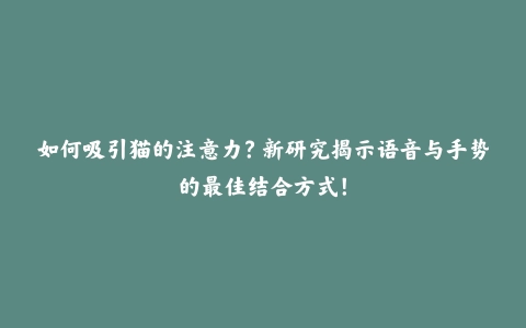 如何吸引猫的注意力？新研究揭示语音与手势的最佳结合方式！